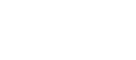 c2_icon1.svg